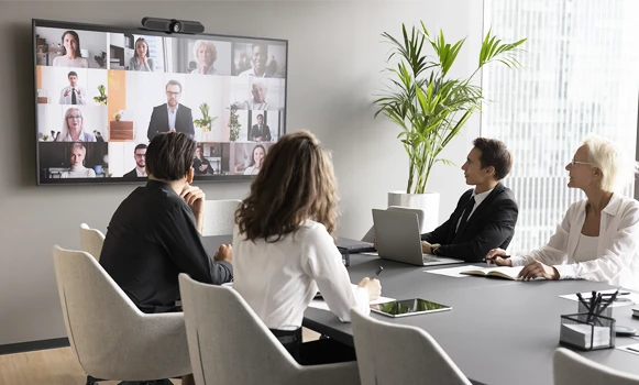 Ecrãs Profissionais Ecrãs Profissionais